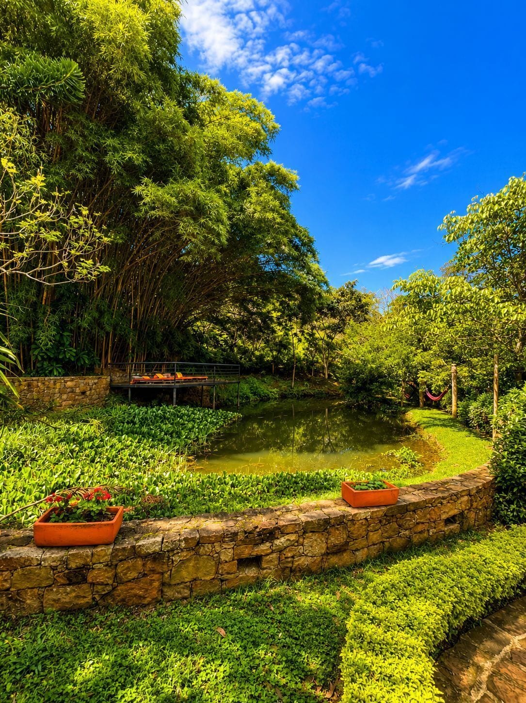 A lush garden with a pond, stone walls, and potted plants.