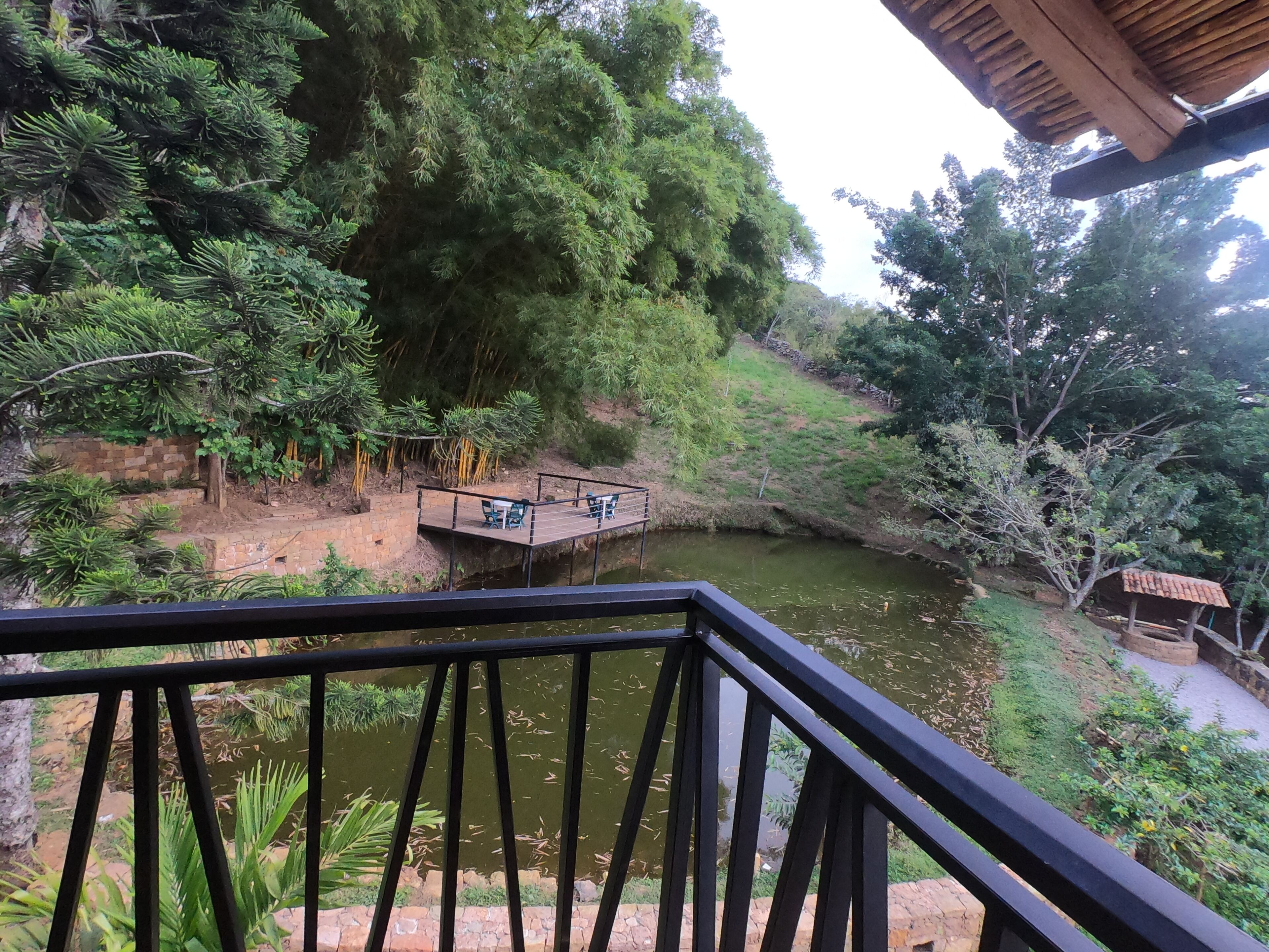 Une vue depuis un balcon donnant sur une rivière, avec une terrasse en bois et des chaises, le tout entouré d’une végétation luxuriante et d’arbres.