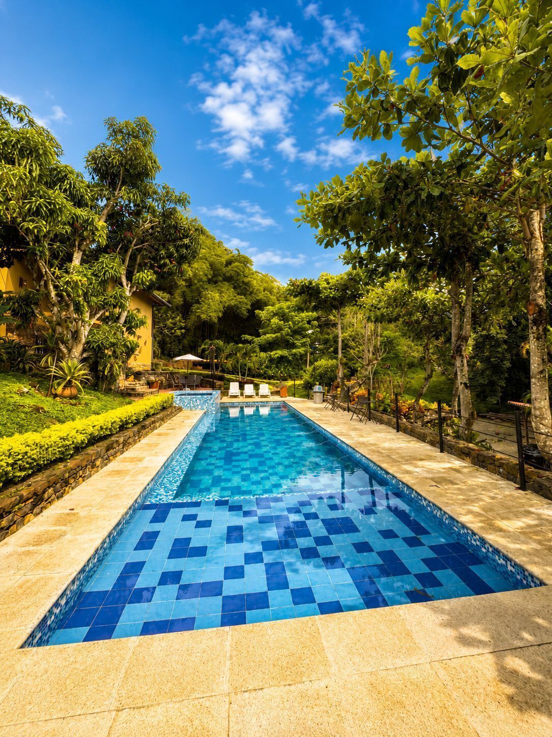 A rectangular swimming pool with blue tiles, surrounded by a stone deck, trees, and a clear sky.