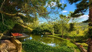 A serene garden with a pond, stone pathways, and a wooden deck. - Hotel casas de Campo El Ciruelo (San Gil)