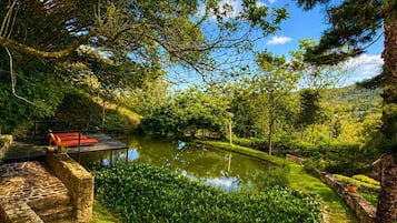 Vistas al lago