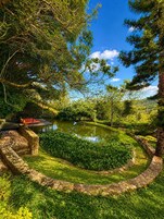 Lake view