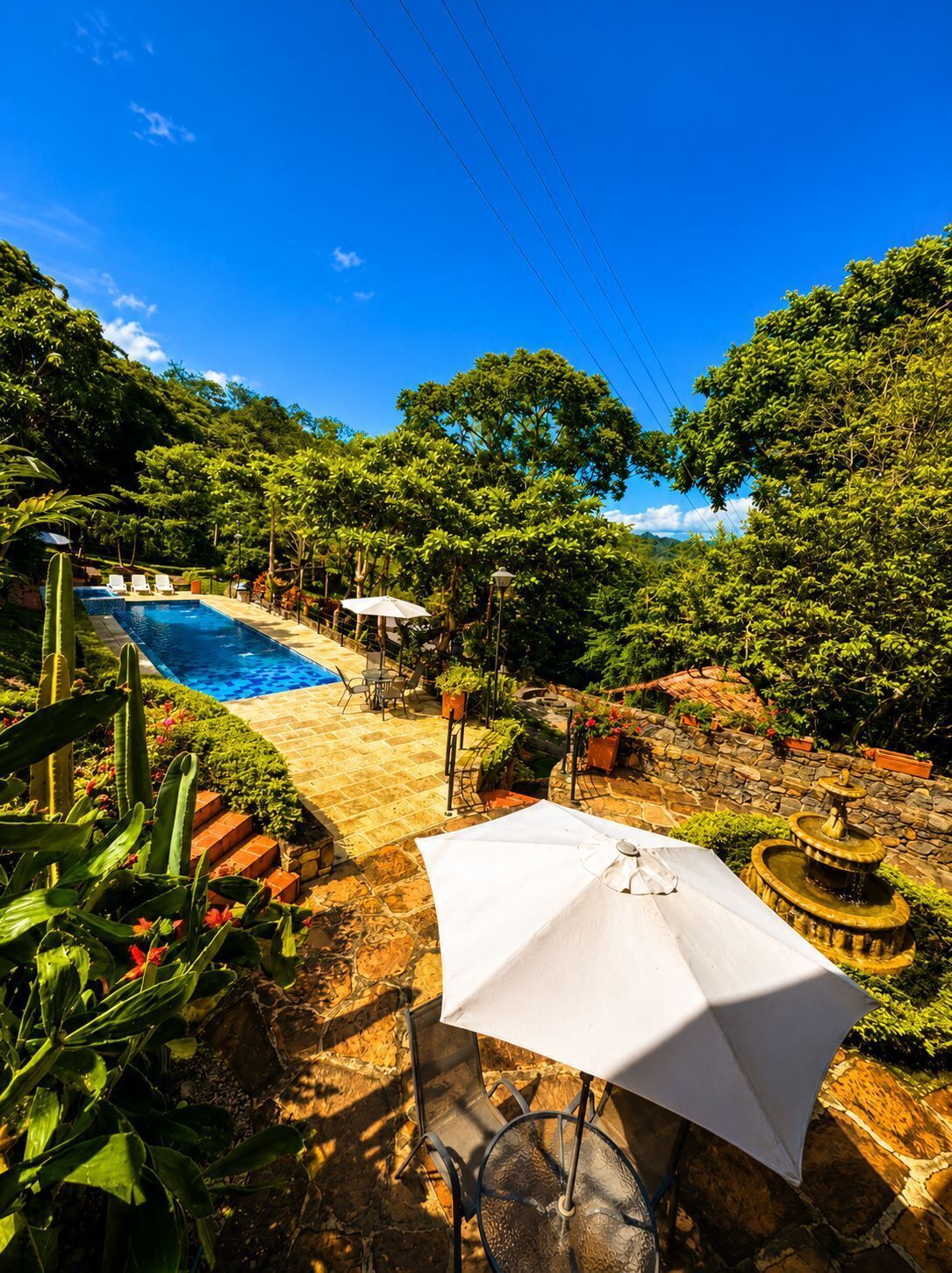 A swimming pool surrounded by lush greenery, outdoor seating, and a stone patio.