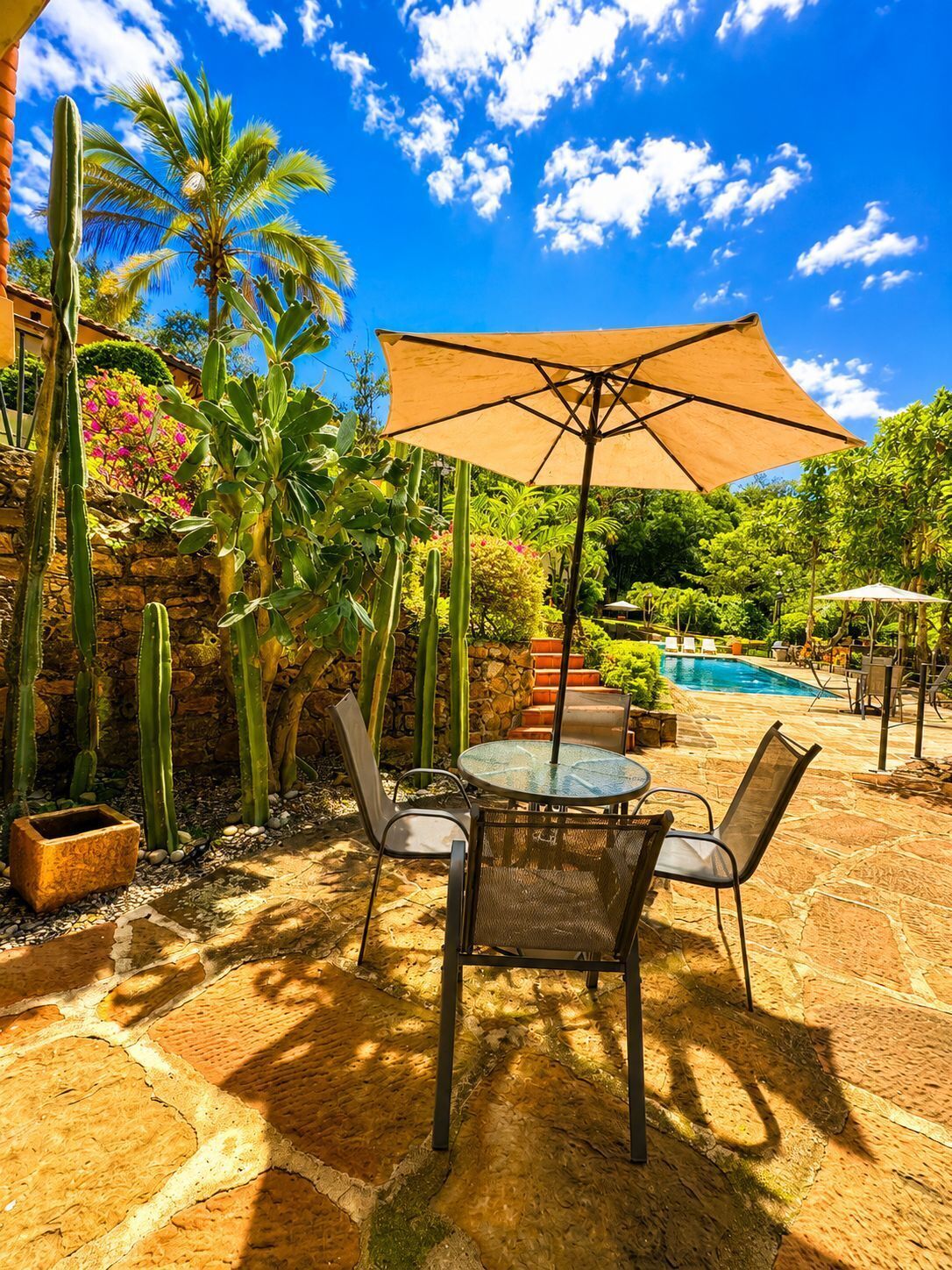 A patio with a pool, surrounded by cacti and palm trees, featuring a table and chairs under a large umbrella.