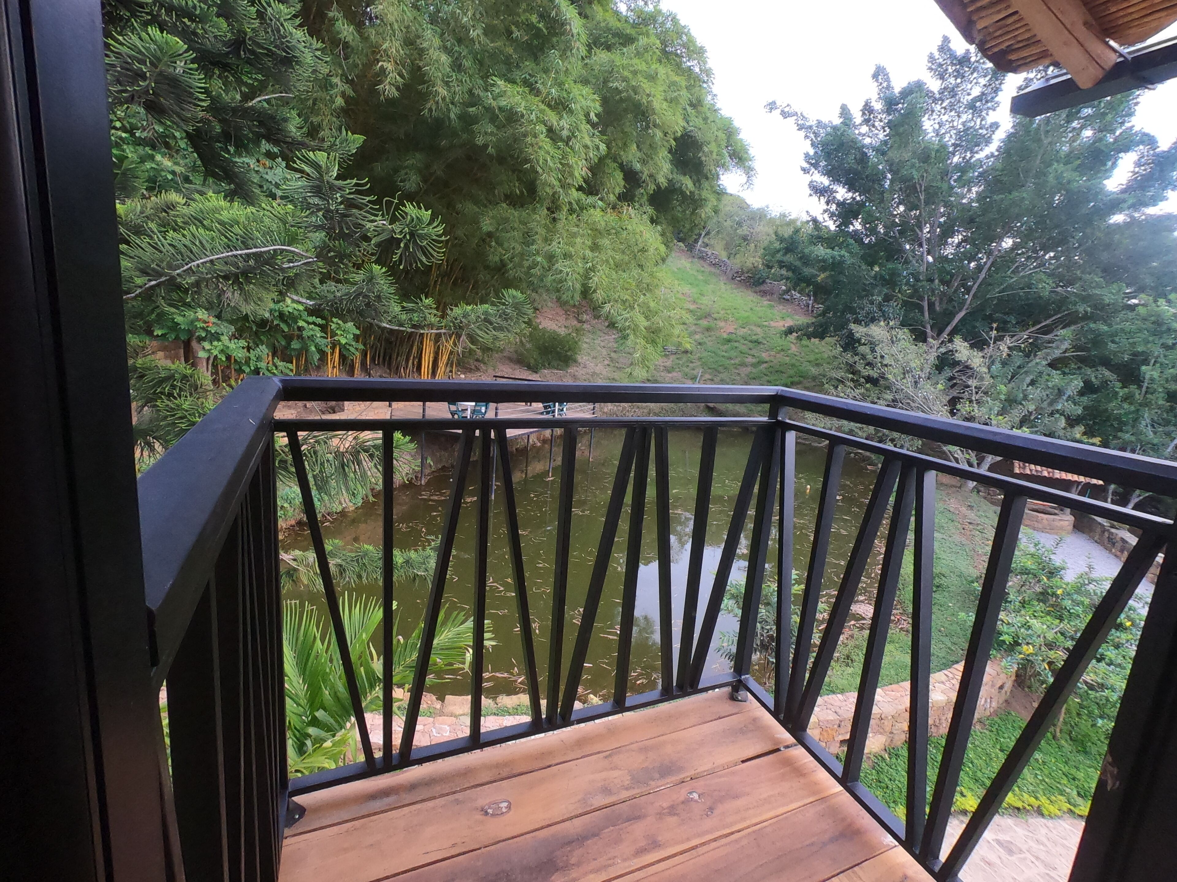 A wooden deck with a black railing overlooking a pond surrounded by lush greenery.