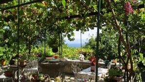 Un jardín con un pérgola, plantas en macetas y una mesa de piedra.