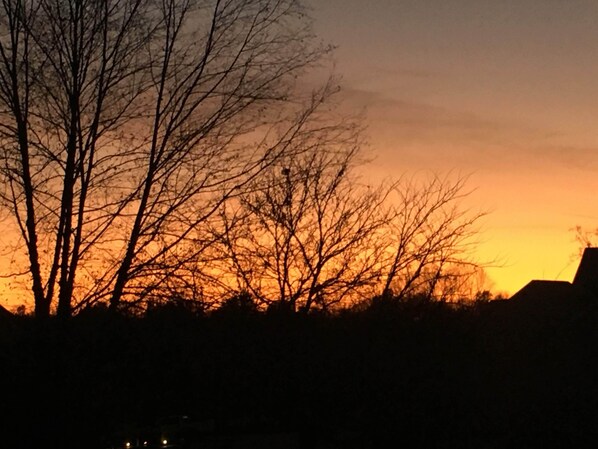 A silhouette of leafless trees against a sunset sky. - GET AWAY FROM IT ALL - Cottage 28 Taylorsville Lake (Taylorsville)