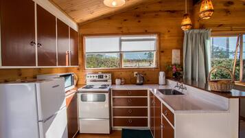 Fridge, microwave, oven, toaster