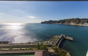 A coastal view with a clear sky, calm sea, and a rocky shoreline. - Mikazuki Sea-Park Hotel Awa Kamogawa (Kamogawa)