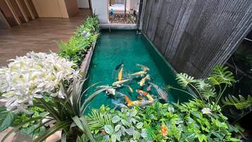 A koi pond with various fish, surrounded by lush greenery and white flowers.
