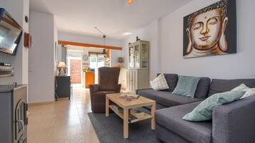 Een televisie, een open haard en een dvd-speler