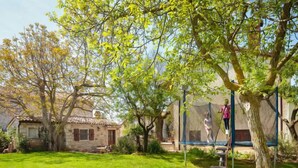Un jardín con un trampolín, un árbol y una construcción de piedra.