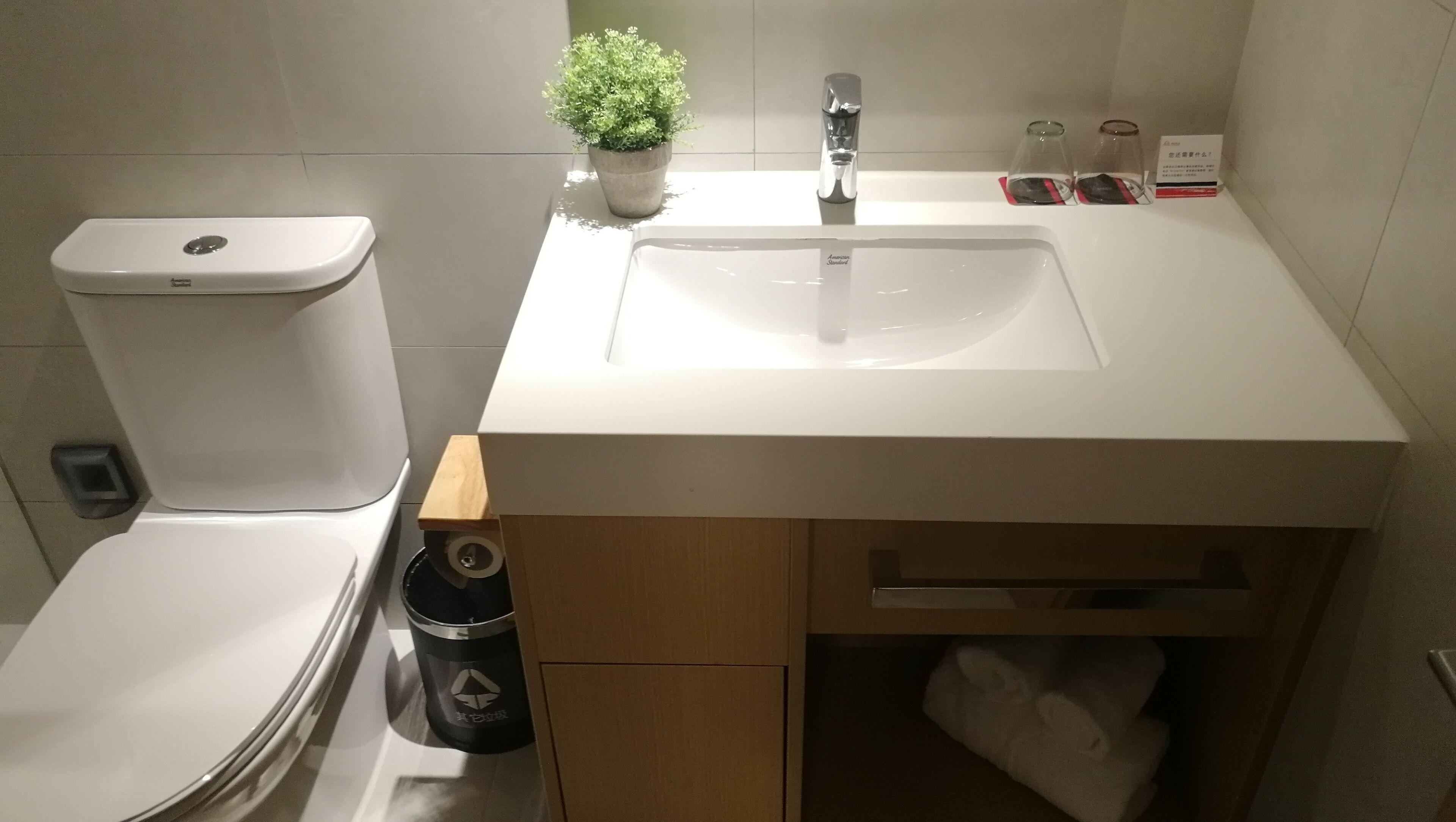 Un baño con inodoro blanco, lavamanos, una pequeña planta en maceta y un cubo de basura.