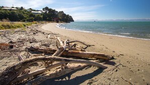 A beach with driftwood and a clear view of the sea and distant mountains.