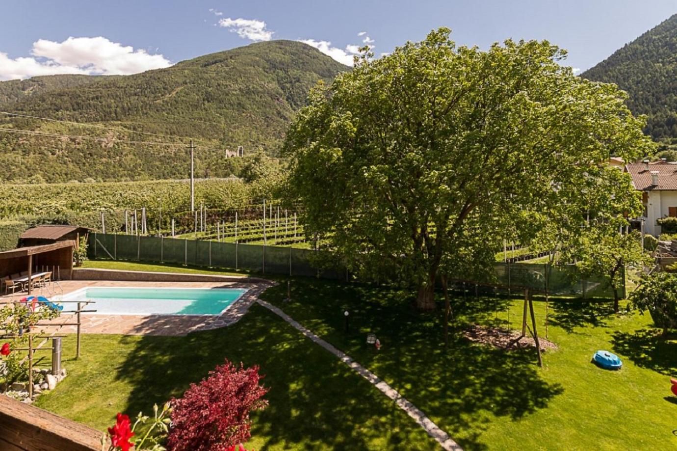 Un quartiere residenziale con piscina, un grande albero e vista sulle montagne.