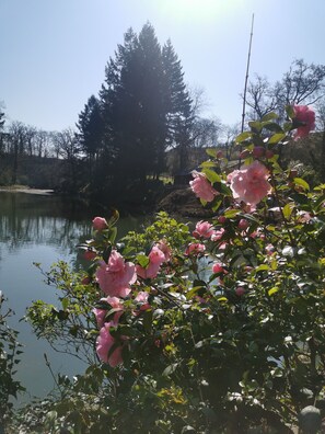 Terrain de l’hébergement 
