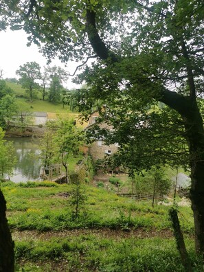 المنطقة المحيطة بالمنشأة