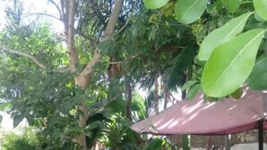 A pathway lined with lush greenery and a metal sculpture. - Rock Galana Holiday Apartments (Diani Beach)