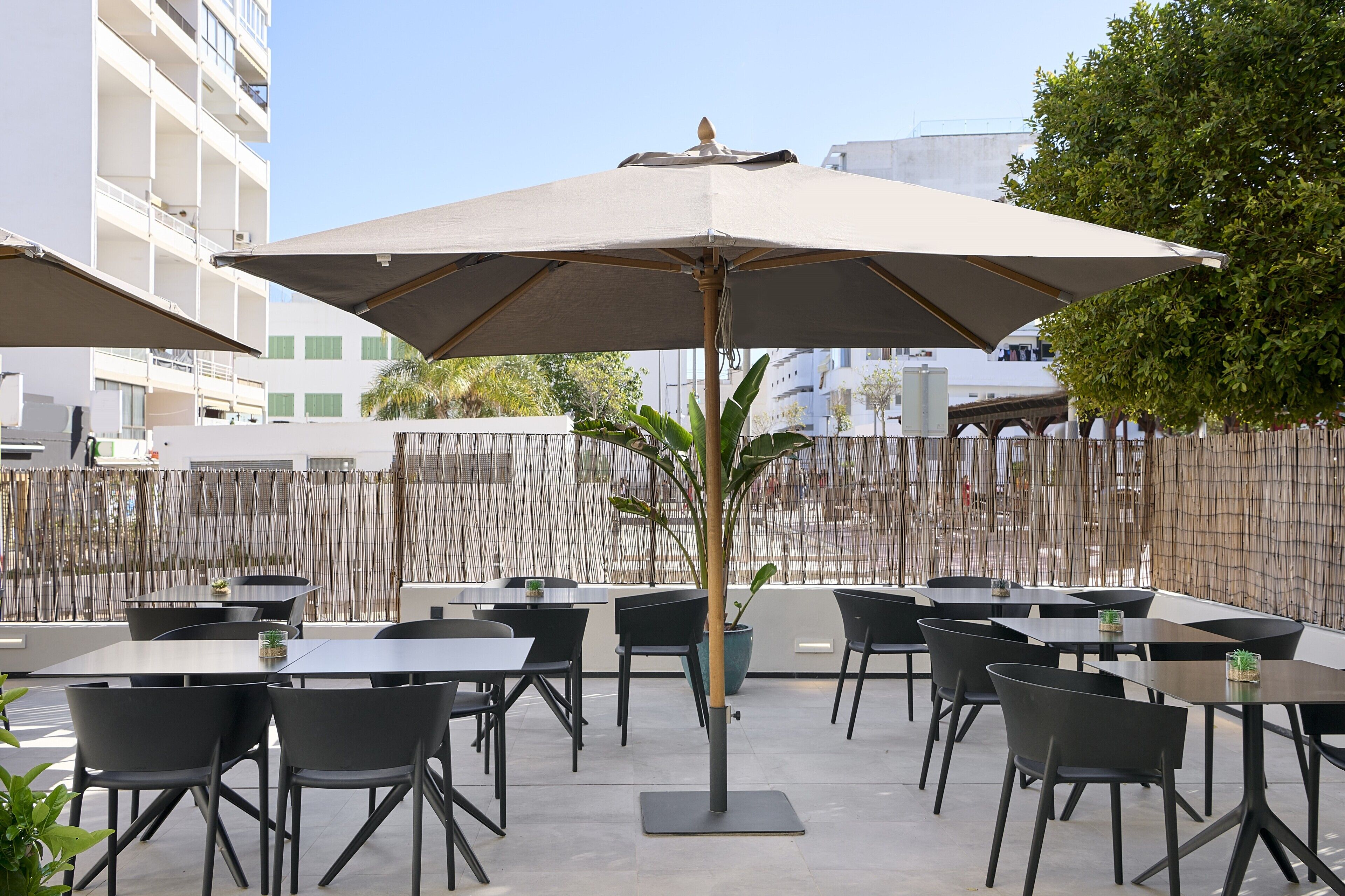 An outdoor patio with tables and chairs, a large umbrella, and a bamboo plant.