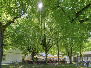Taman