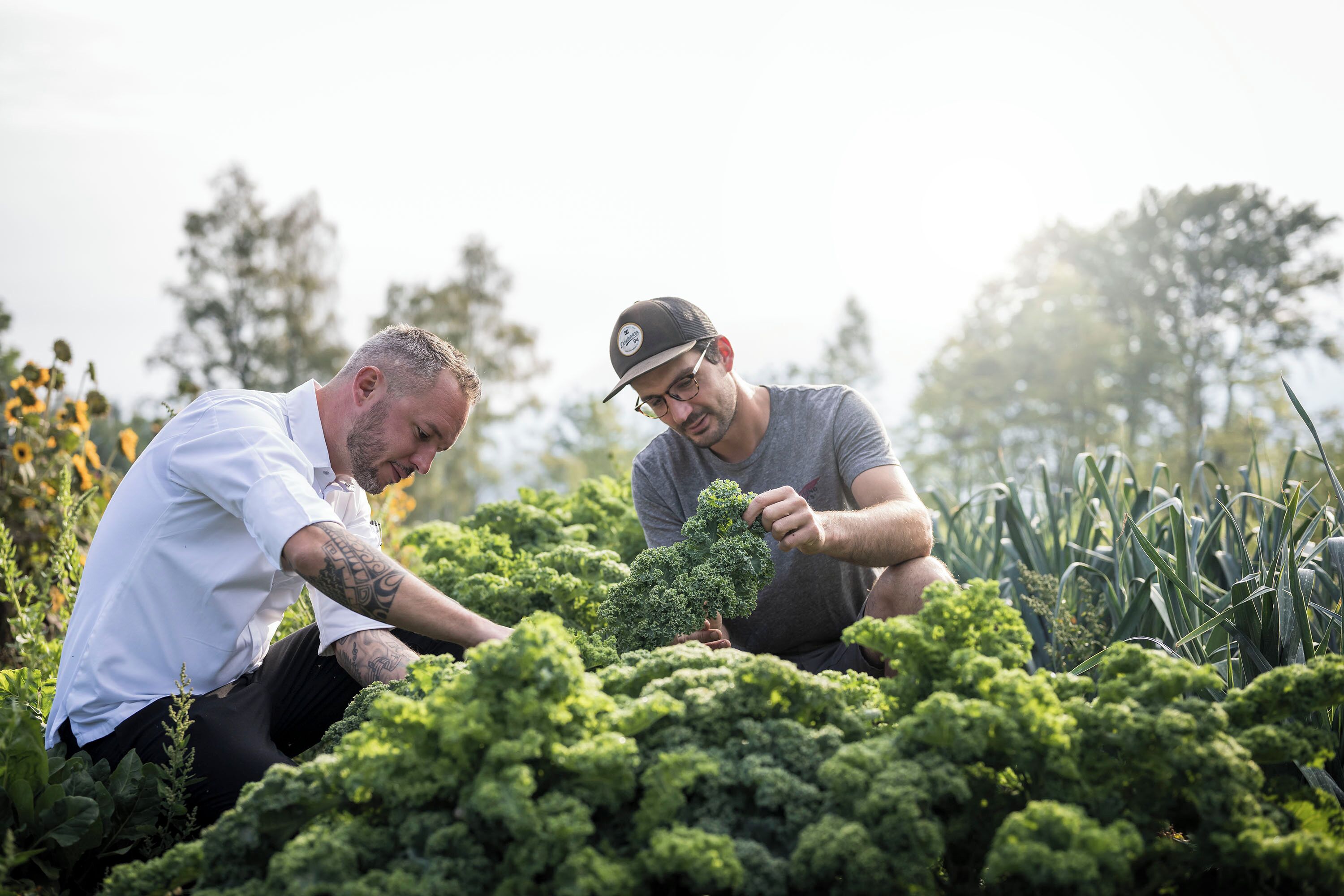 Two individuals examining a plant in a garden setting.