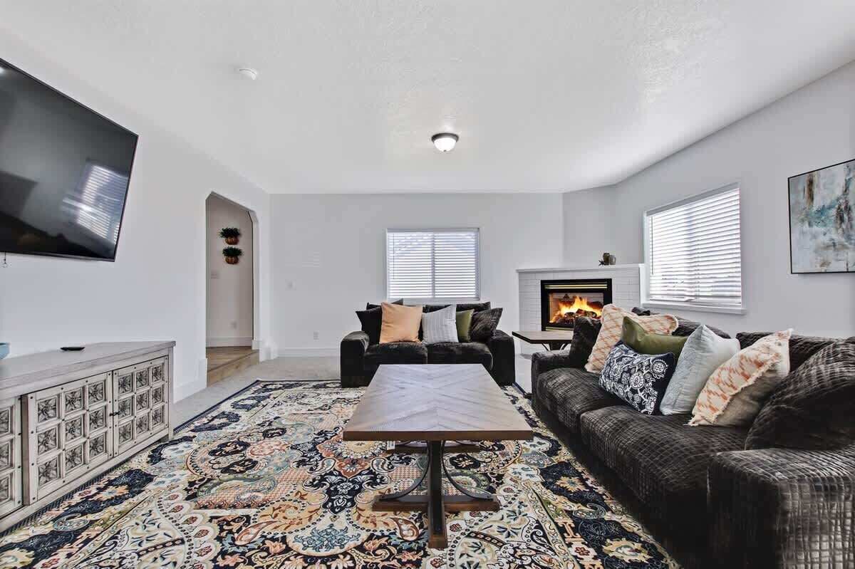 TV, fireplace, books