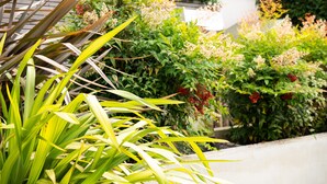 A garden with various plants and flowers, including some with yellow and red blooms. - Contemporary Bright House 20 Min To Manc (Stockport)