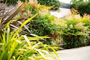 Apartment | Garden view
