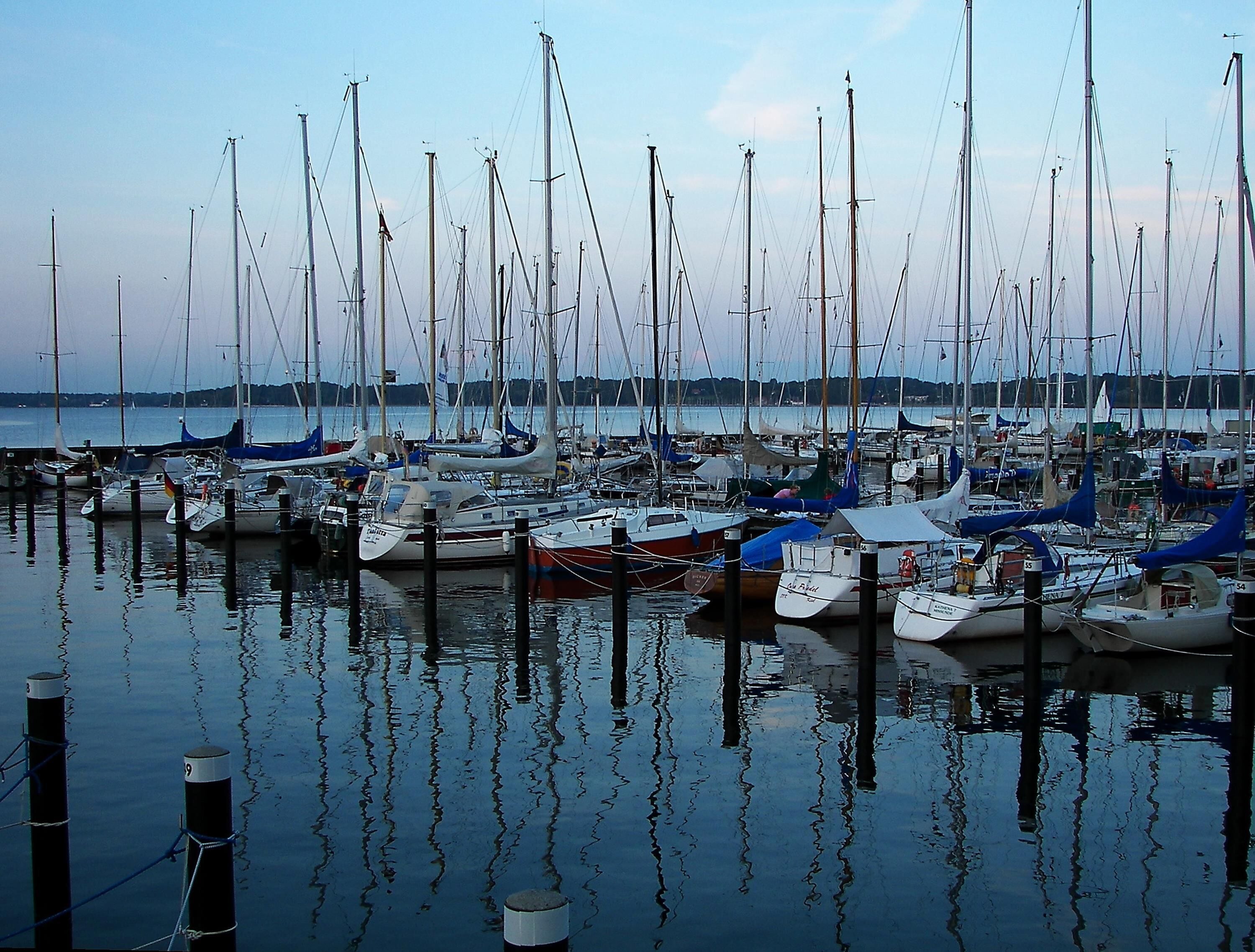 A marina with multiple boats docked, calm water, and a distant shoreline.