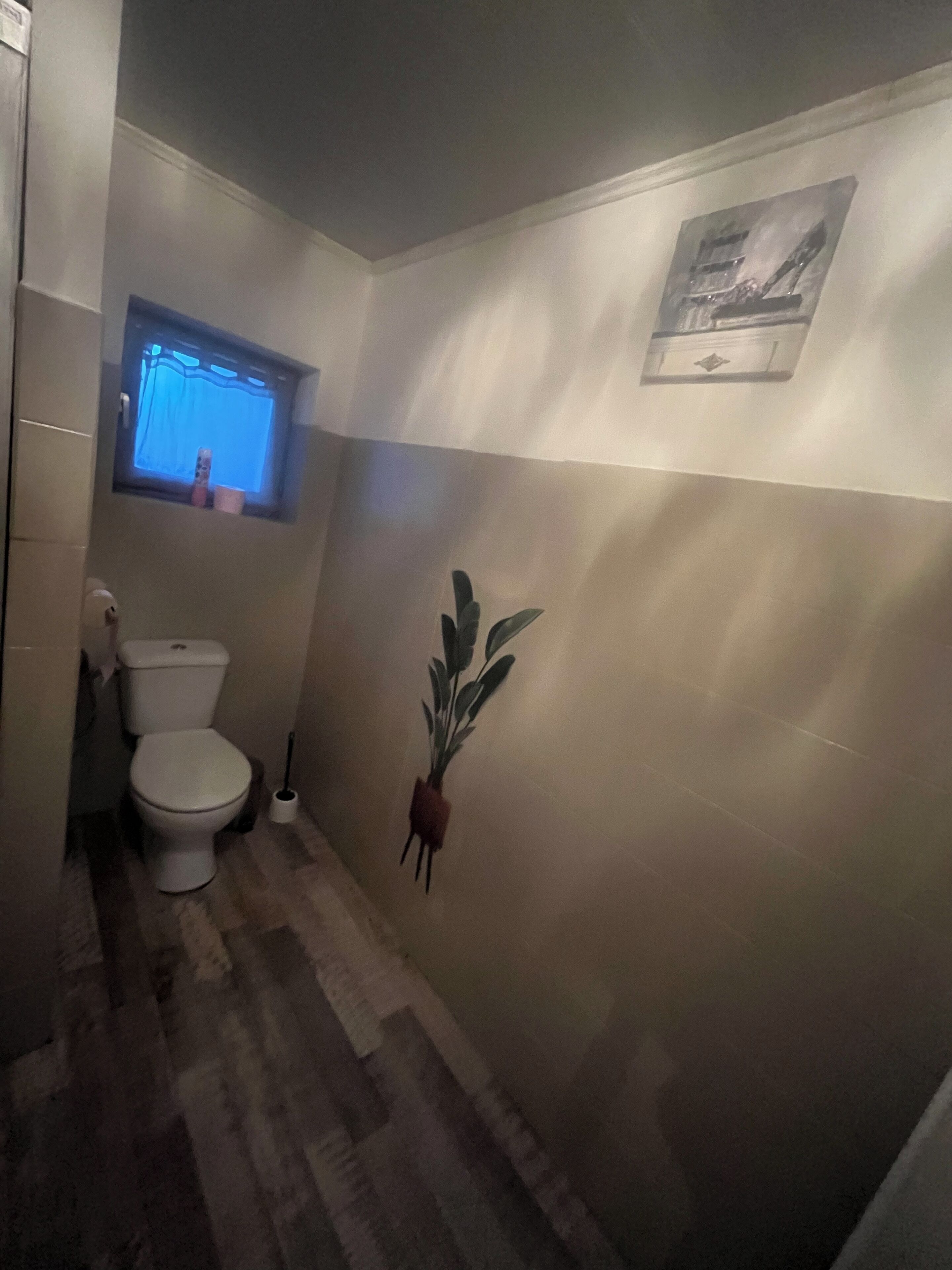 A small bathroom with a toilet, a window, and a wall-mounted plant.