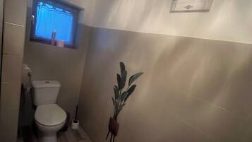 A small bathroom with a toilet, a window, and a wall-mounted plant.