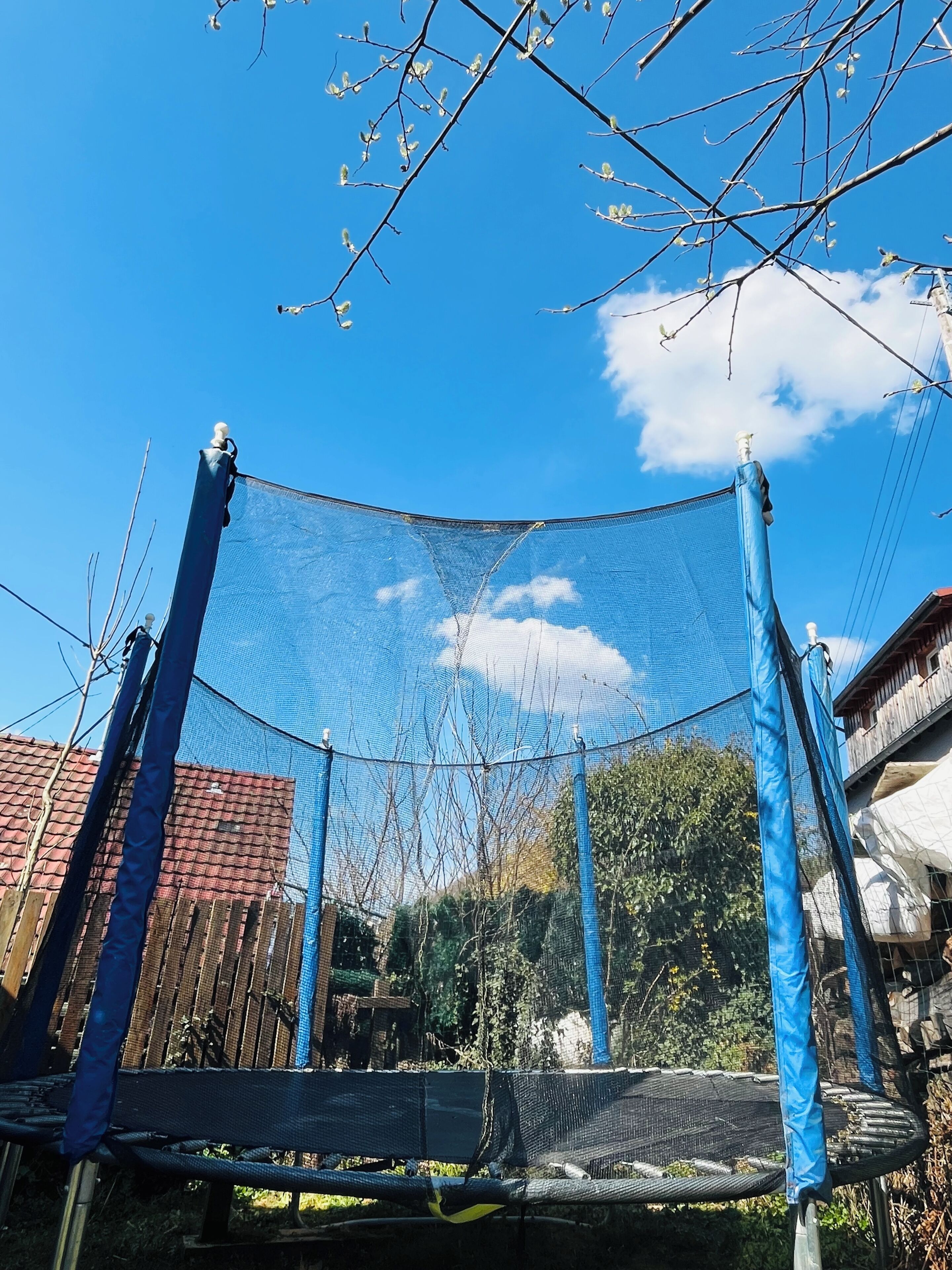 Un trampoline doté d’un filet de protection, entouré d’arbres et surplombé par un ciel bleu clair.