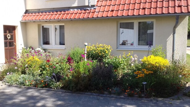 A house with a red-tiled roof, two windows with white frames, and a garden with various flowers.