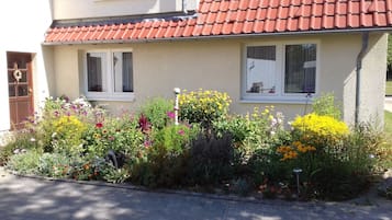 المنطقة المحيطة بالمنشأة