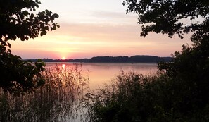 Beach nearby - Apartment Kleinseenplatte at the national park entrance (Mirow OT Schillersdorf)
