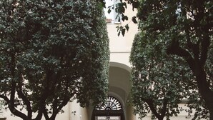 A paved pathway with a scalloped edge design, flanked by trees and potted plants, leading to an arched entrance of a building. - Vatican Garden Rooms (Rome)