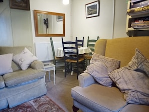 Smart TV, lettore DVD, libri, biblioteca musicale