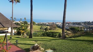 Vista de una zona residencial con vistas despejadas al océano, palmeras y una colina cubierta de hierba.