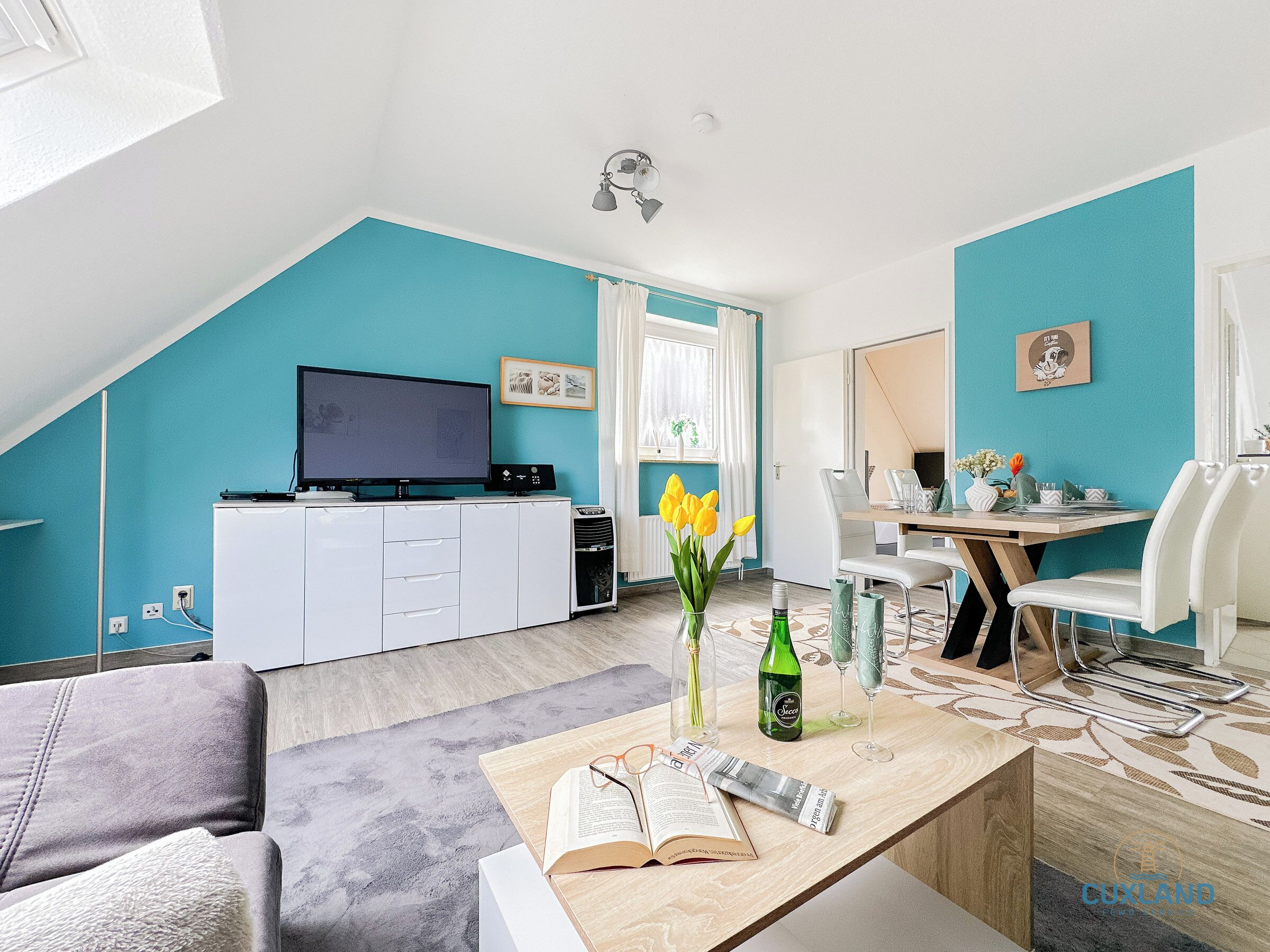 Fernseher, Stereoanlage