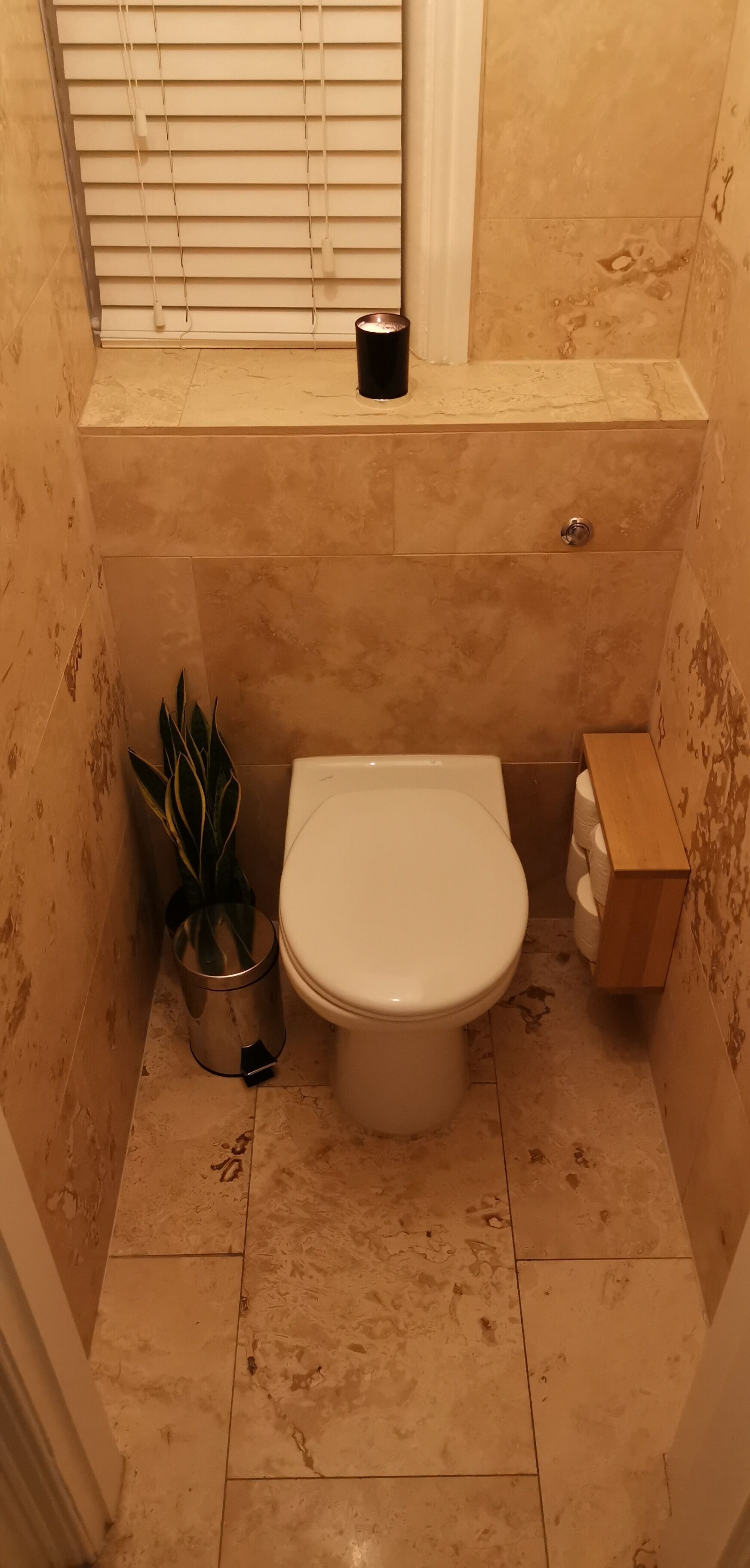 A small bathroom with a toilet, a potted plant, and a trash can.