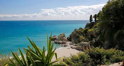Paraiso Blanco Summar
