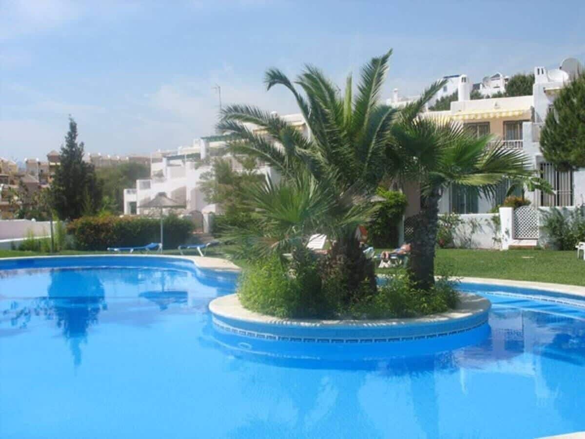 A swimming pool with a circular island, palm trees, and a white building in the background.