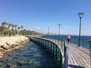 Un muelle de madera se adentra en una masa de agua azul cristalina, con una costa rocosa y palmeras a la izquierda.