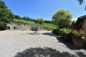 Property grounds - Villa Paradiso, Montevarchi, Arezzo and Cortona (Montevarchi)