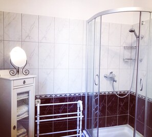 Regadera, secadora de cabello, toallas, papel de baño