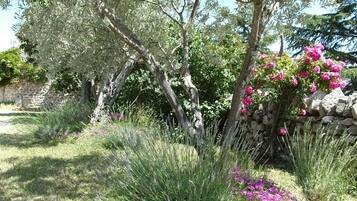 Overnatningsstedets omrÄde