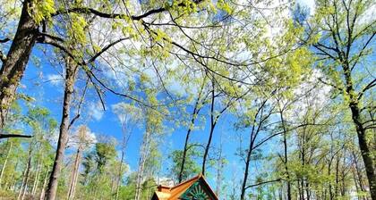 YOUR OWN PRIVATE 12 ACRE LAKE, 80 ACRES, HOT TUB & GAME BARN