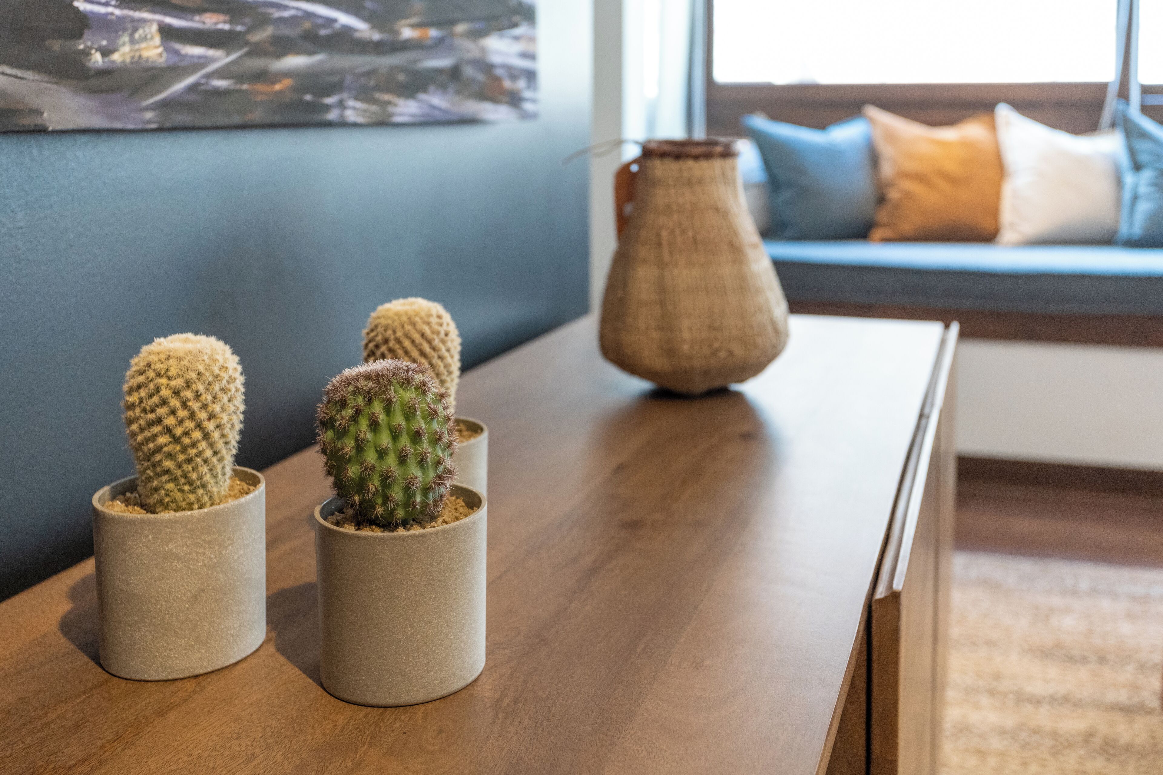 A wooden table with three potted cacti and a vase in a modern living room with a blue wall and a sofa with cushions.