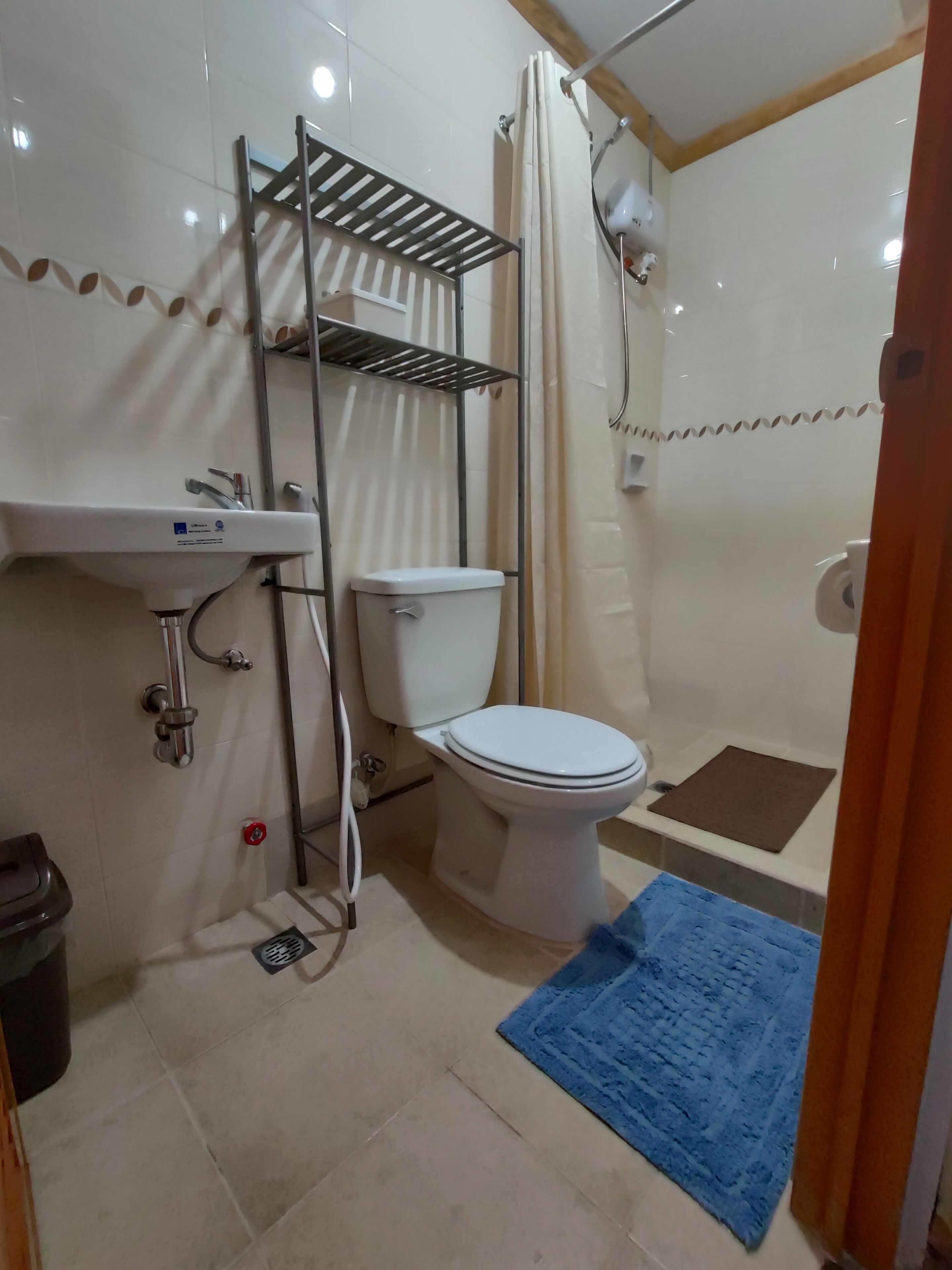 A bathroom with a toilet, a sink, a shower, and a blue mat.