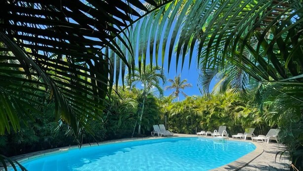 A swimming pool with lounge chairs and palm trees. - bungalows Cas'à Willy - Alamanda 3 (Sainte-Rose)